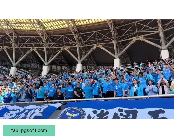 卡兰加虽有进球但平果哈嘹在冲超关键时刻失误无缘中甲升级 卡兰加虽有进球但平果哈嘹在冲超关键时刻失误无缘中甲升级